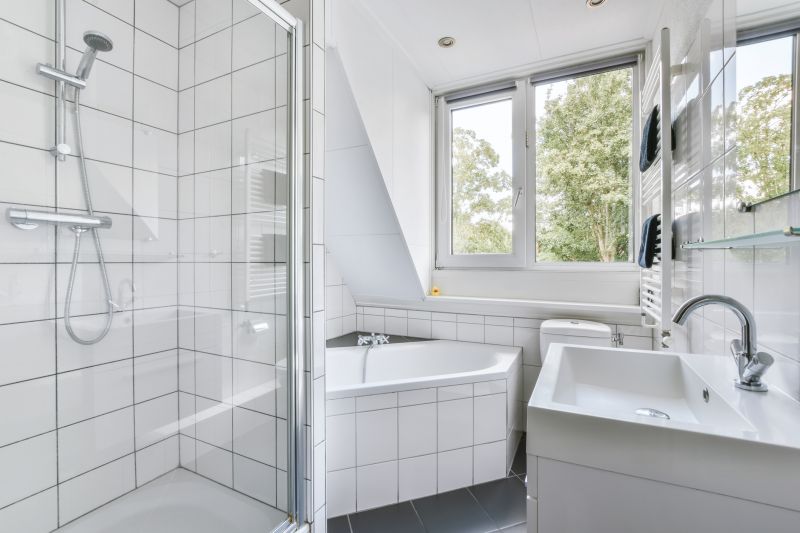 Natural Light in Shower Space